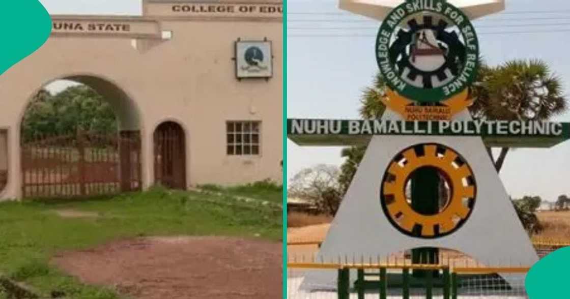 Lecturers in two major northern schools decry corps members earning more than them. Lecturers in two major northern schools decry corps members earning more than them.
