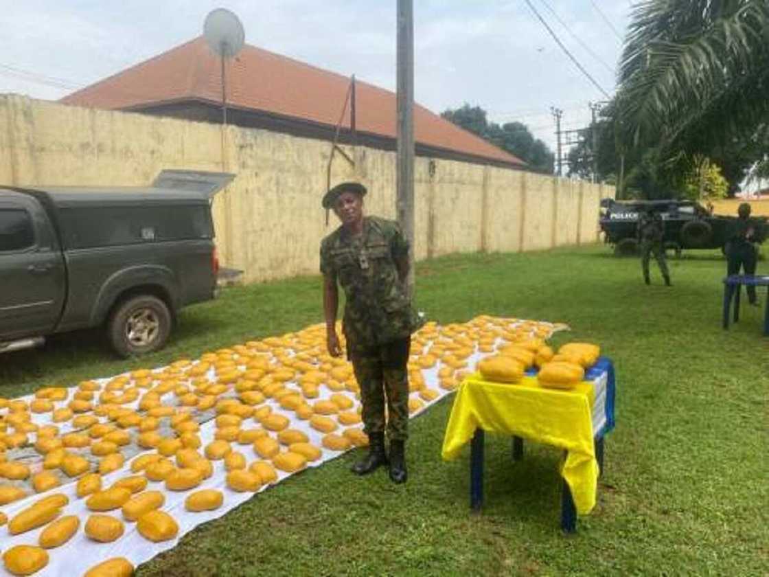 Yan sanda sun kama Manjo ɗin Soja na bogi dauke da wiwi (Hotuna) Yan sanda sun kama Manjo ɗin Soja na bogi dauke da wiwi (Hotuna)