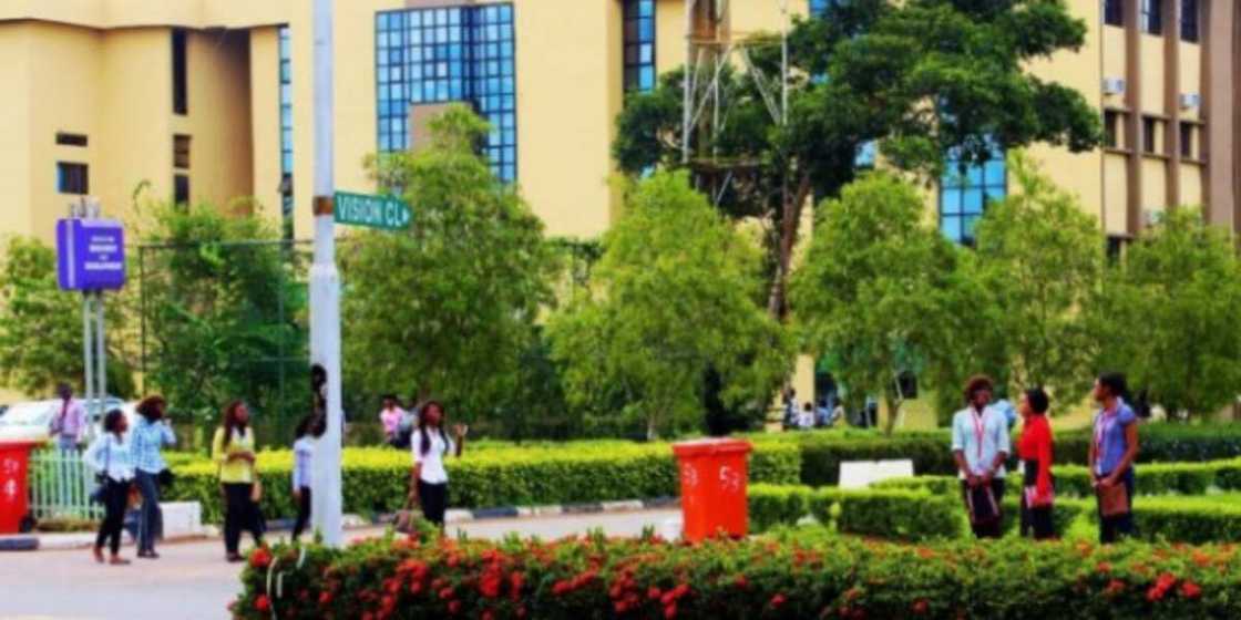 A Covenant University graduate shares how she ended up with 'embarrassing' job. A Covenant University graduate shares how she ended up with 'embarrassing' job.