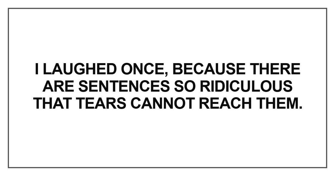 I laughed once, because there are sentences I laughed once, because there are sentences