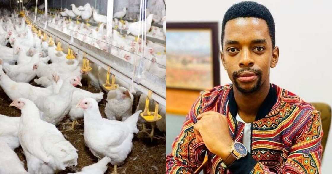 This Is the Future: Retrenched Workers Open Their Own Successful Farm This Is the Future: Retrenched Workers Open Their Own Successful Farm