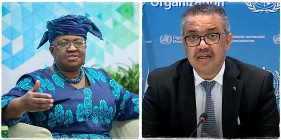 Ngozi Onkonjo-Iweala, the DG of WTO, and Tedros Adhanom Ghebreyesus making global impact