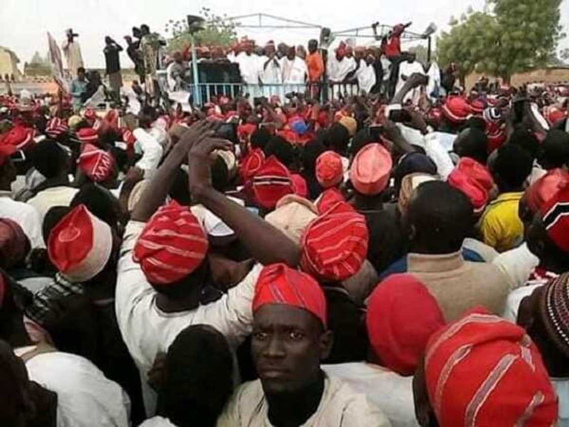 Da dumi dumi: Kwankwaso zai tura yaran talakawa karatu zuwa kasashen waje