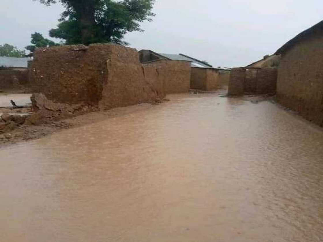 Zamfara: Ambaliyar ruwa ta kashe mutum 4, mutane da yawa sun rasa gidajensu Zamfara: Ambaliyar ruwa ta kashe mutum 4, mutane da yawa sun rasa gidajensu