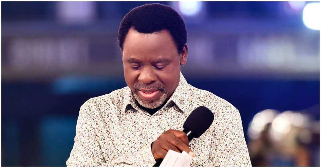 Synagogue Church of All Nations ministry witnessed immense success during TB Joshua's lifetime. Synagogue Church of All Nations ministry witnessed immense success during TB Joshua's lifetime.