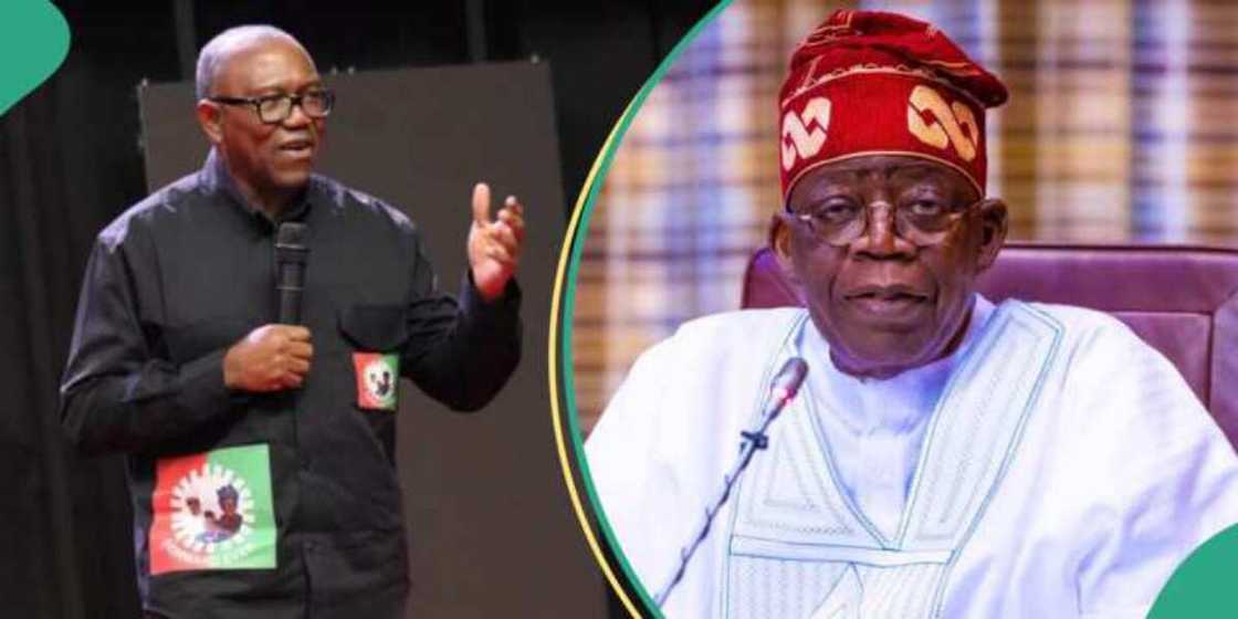 Peter Obi ba zai yi aiki a gwamnatin Tinubu ba