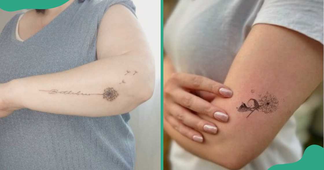 Blown dandelion tattoos around the elbow Blown dandelion tattoos around the elbow