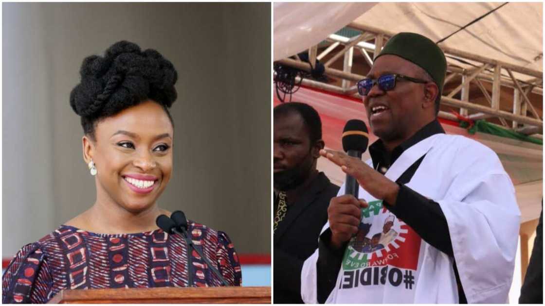 Chimamanda Adichie/Peter Obi/2023 Election/South East/Igbo Chimamanda Adichie/Peter Obi/2023 Election/South East/Igbo