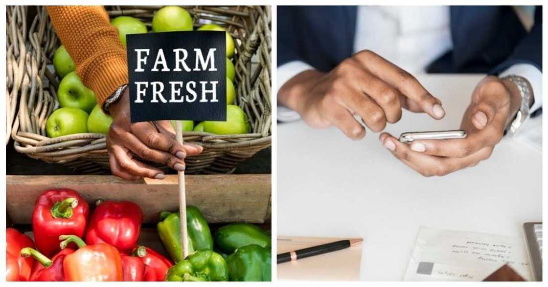 Investment in agriculture in Nigeria Investment in agriculture in Nigeria