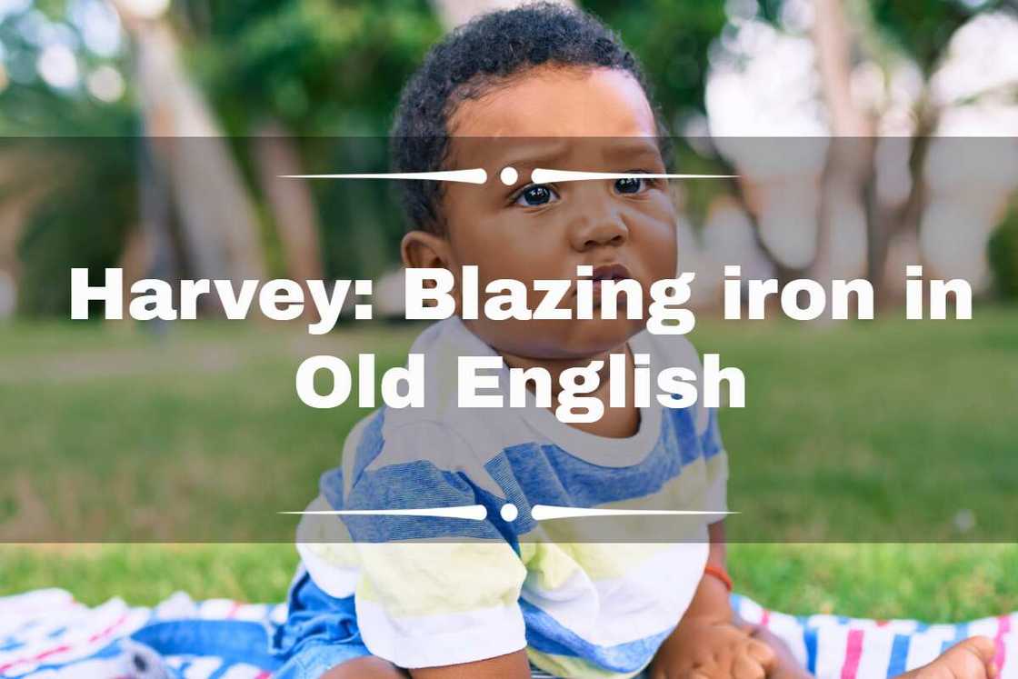 english boy names english boy names