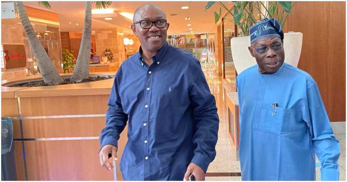 Peter Obi, 2023 general elections, APC, PDP, President Muhammadu Buhari, ex-President Olusegun Obasanjo