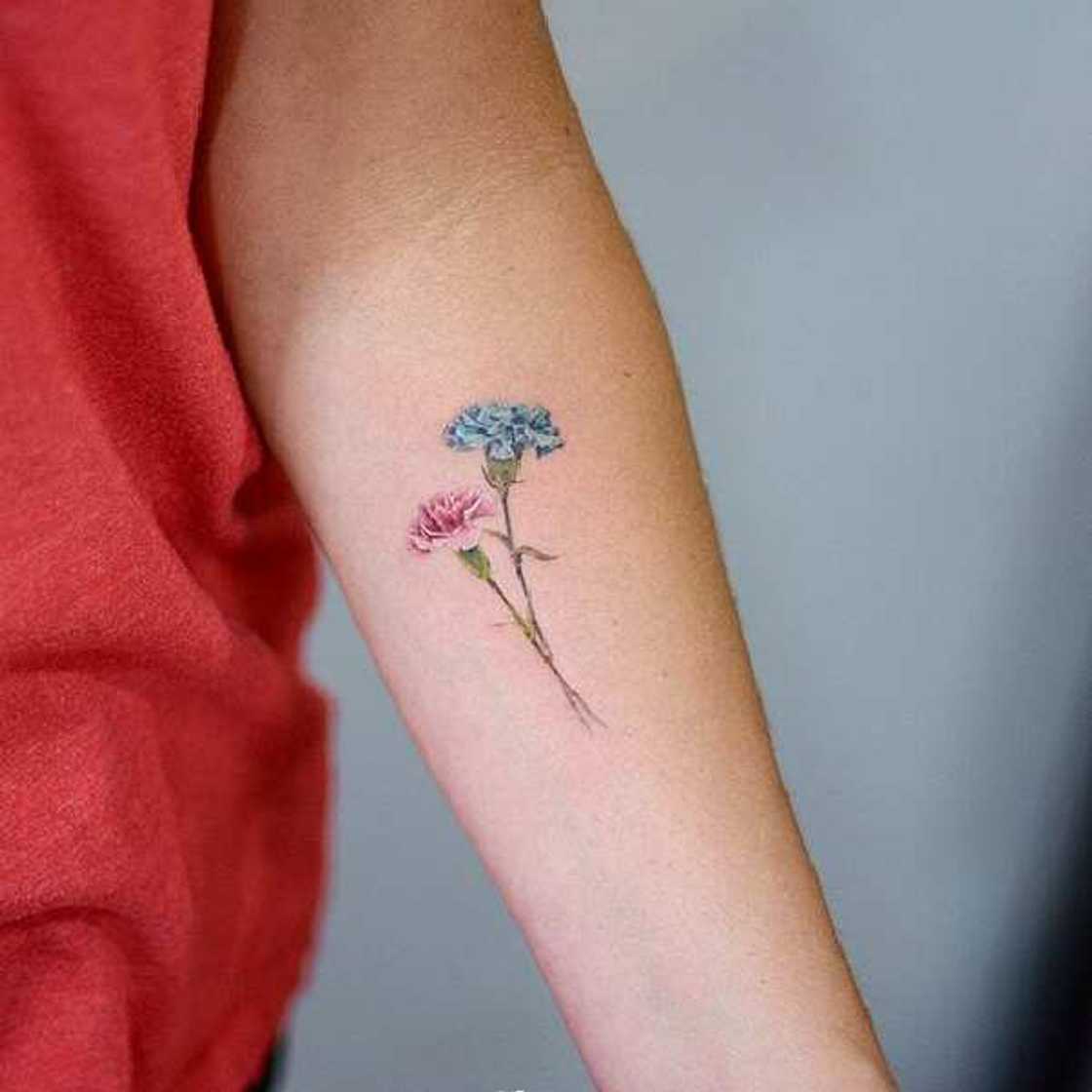 Carnation tattoo