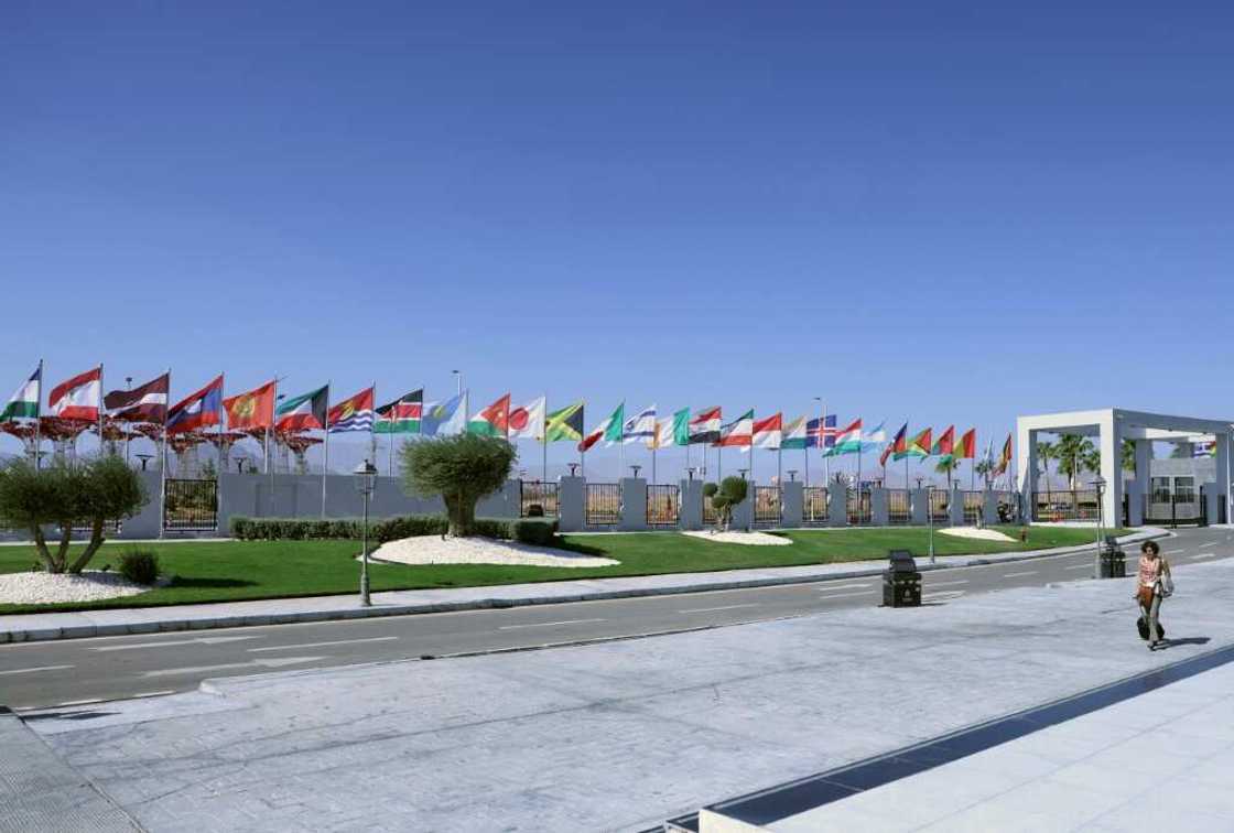 Though ramps abound, attendees with physical impairments say the UN climate summit has been especially difficult for them to navigate Though ramps abound, attendees with physical impairments say the UN climate summit has been especially difficult for them to navigate