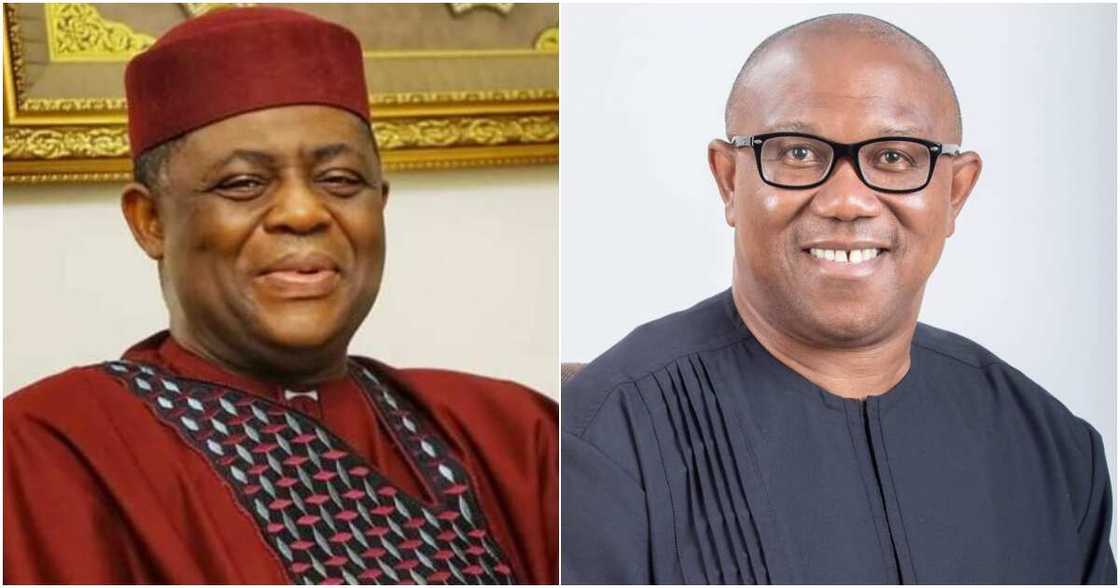 Femi Fani-Kayode, Peter Obi, Labour Party, 2023 general elections, APC, PDP Femi Fani-Kayode, Peter Obi, Labour Party, 2023 general elections, APC, PDP