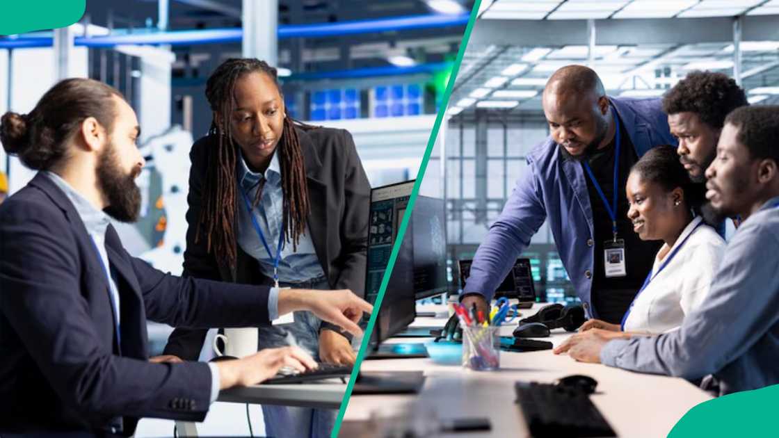 people working together in an office people working together in an office