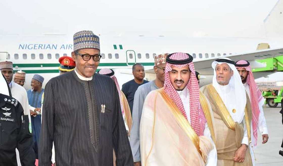 800 Nigerians have been arrested by the government of Saudi Arabia 800 Nigerians have been arrested by the government of Saudi Arabia