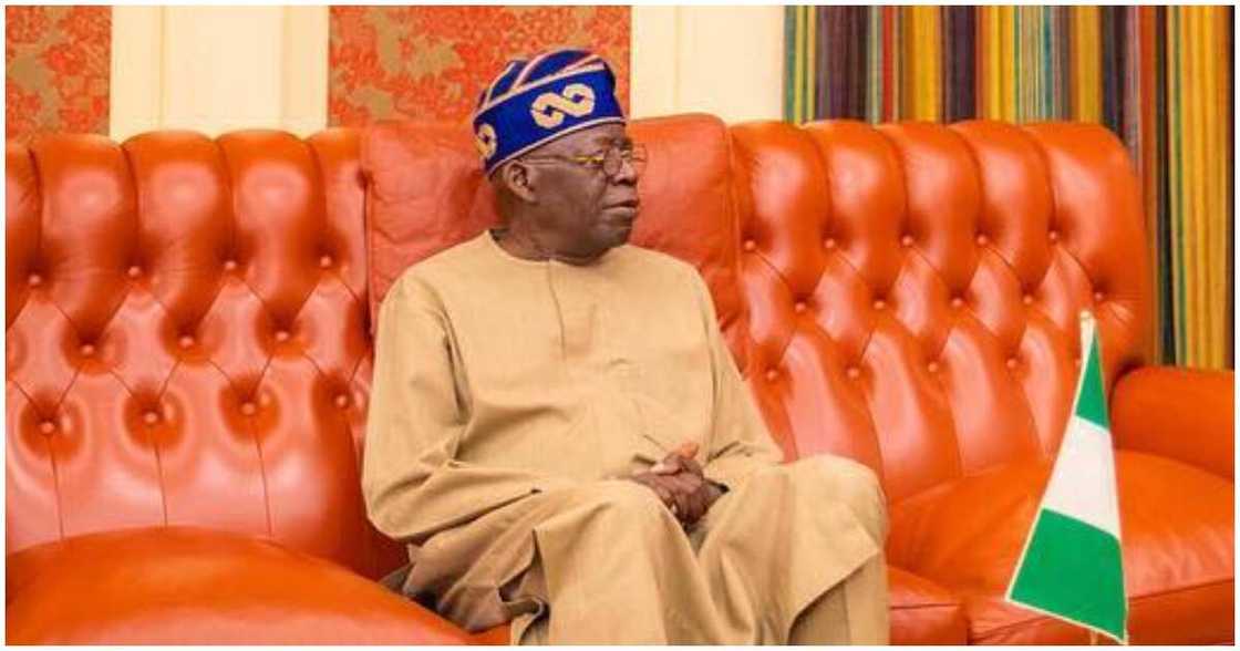 Bola Tinubu/Tinubu/Tinubu news today/latest about tinubu