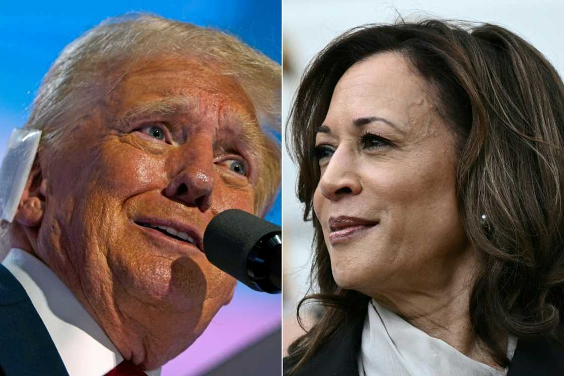 The United States confronts 'liberal' conspiracy theorists. The United States confronts 'liberal' conspiracy theorists.