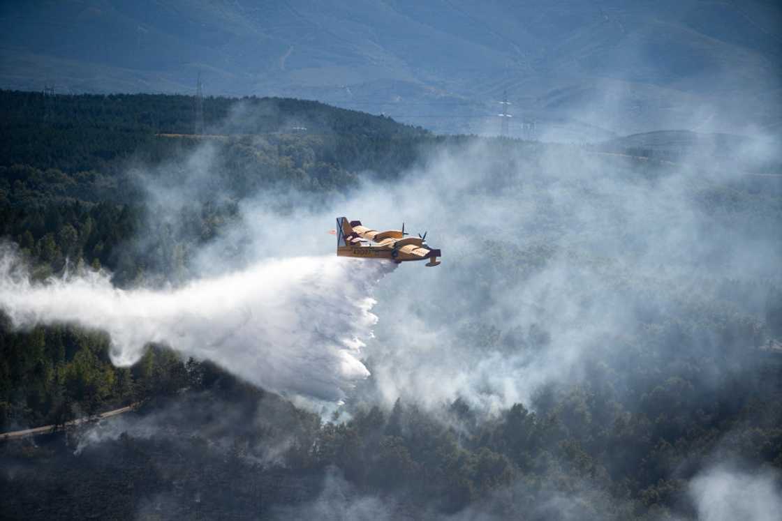 Small Police Plane Crashes During Test Flight, Killing Everyone on It Small Police Plane Crashes During Test Flight, Killing Everyone on It