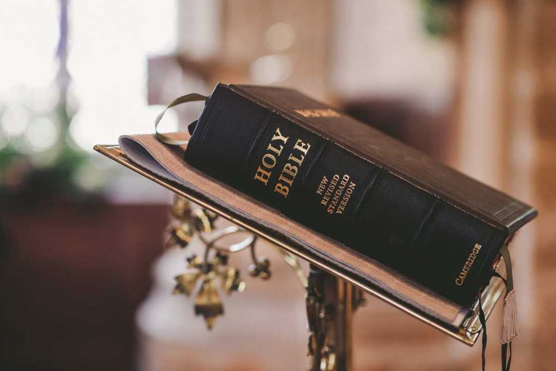 The duties of a protocol officer in a church The duties of a protocol officer in a church