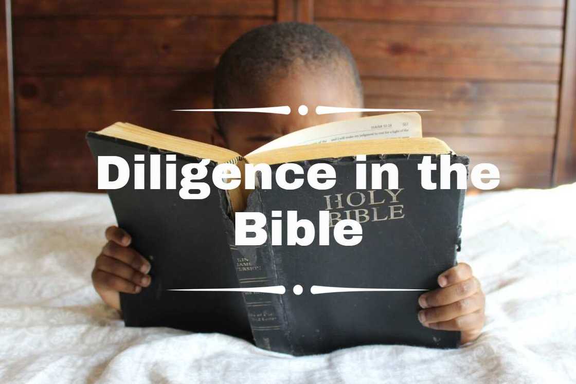 diligence in the Bible diligence in the Bible