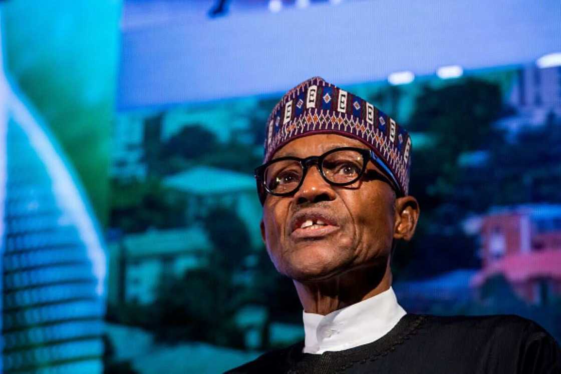 Buhari Buhari