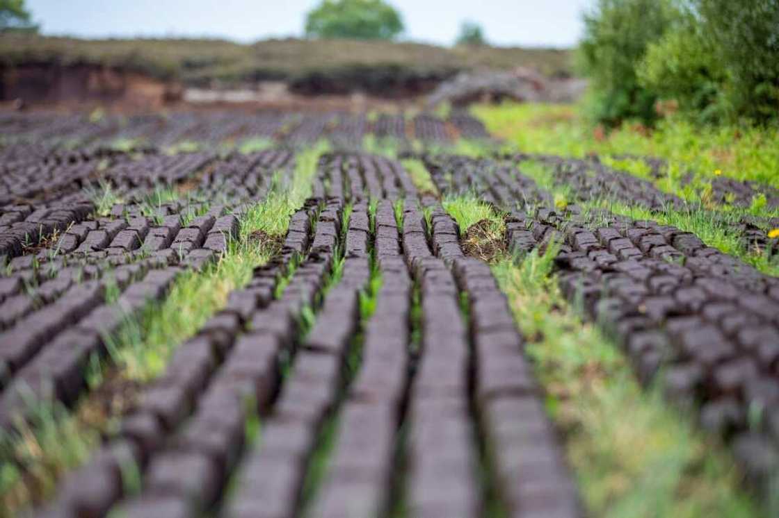 The government is looking to cut greenhouse gas emissions and turf cutting damages the natural carbon sinks in the bogs The government is looking to cut greenhouse gas emissions and turf cutting damages the natural carbon sinks in the bogs