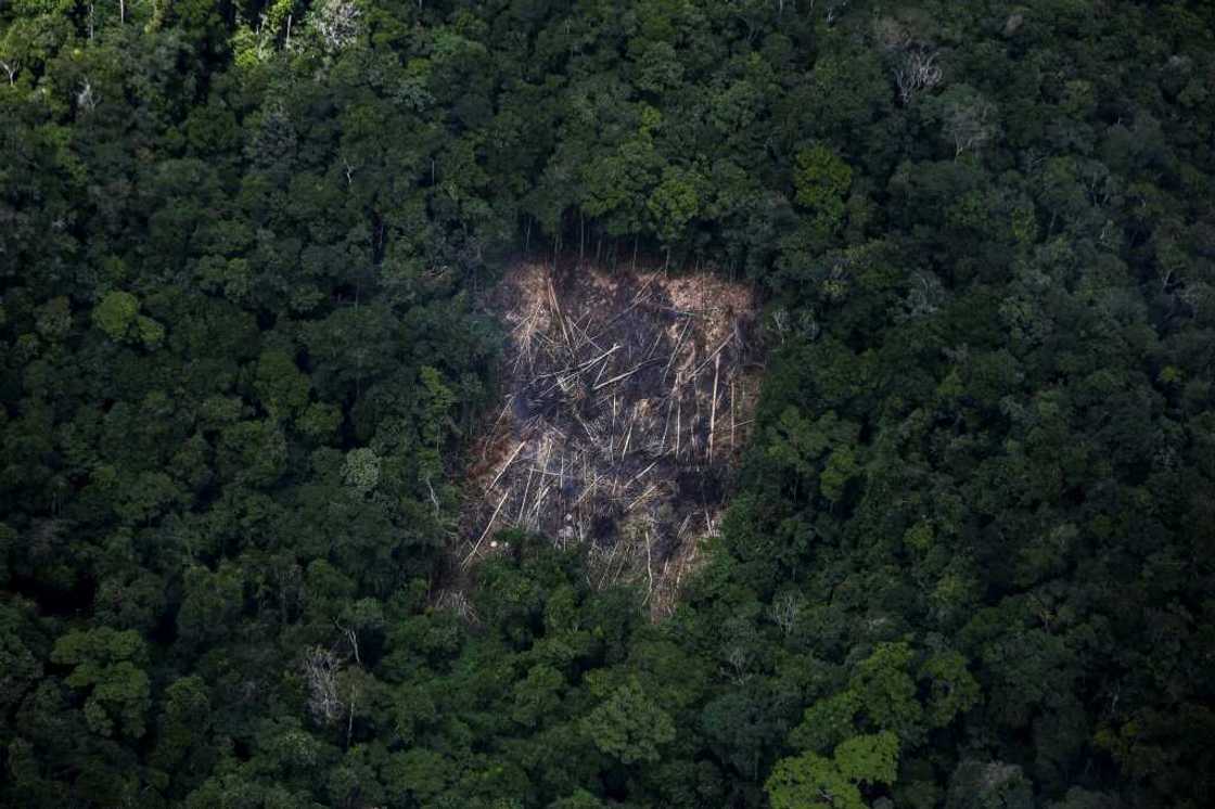 Aerial view of a deforested area of the Amazon rainforest in Brazl's state of Roraima Aerial view of a deforested area of the Amazon rainforest in Brazl's state of Roraima