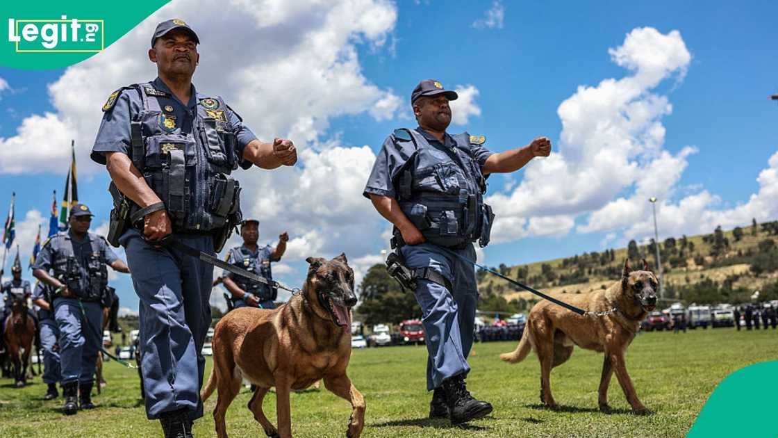 Nigerian Man Shot Dead at Traffic Stop By South African Police