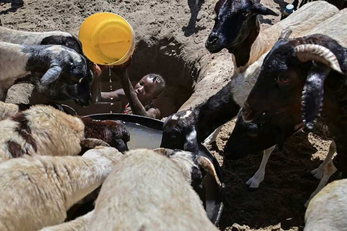 The United Nations warned that countries in the horn of Africa more Somalia and similarly Kenya's arid nothern reaches are on the brink of famine for the second time in just over a decade. The United Nations warned that countries in the horn of Africa more Somalia and similarly Kenya's arid nothern reaches are on the brink of famine for the second time in just over a decade.