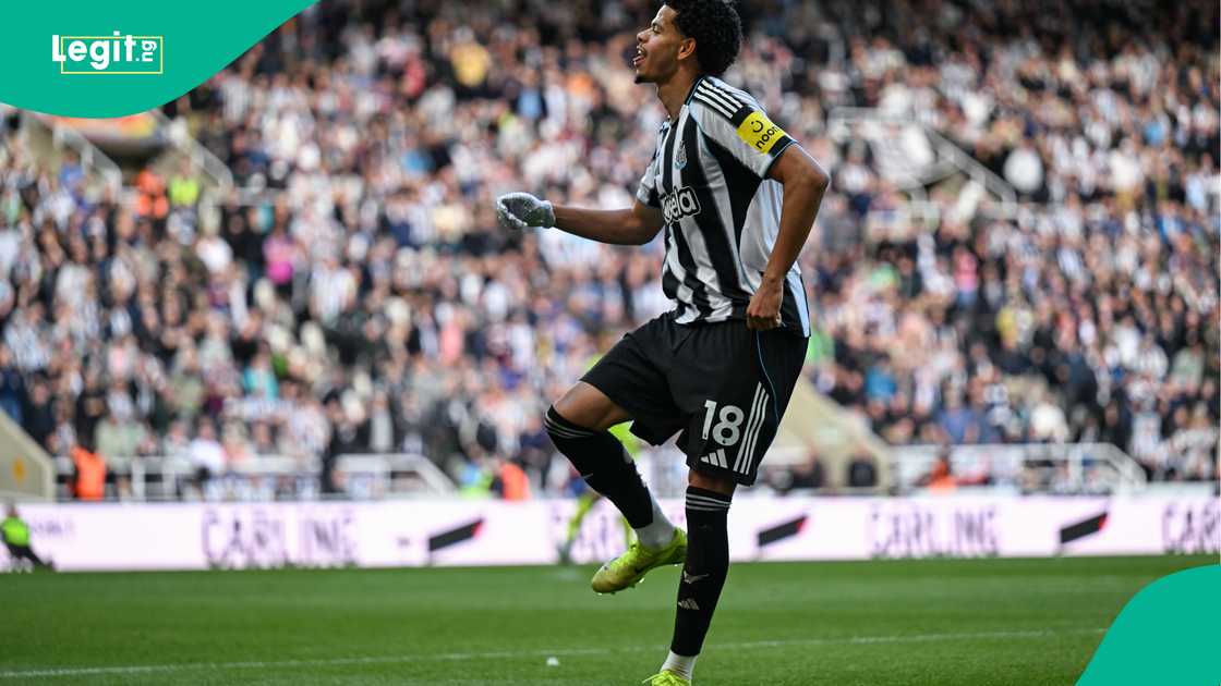 William Osula dancing after scoring for Newcastle against West Ham. Photo: Serena Taylor William Osula dancing after scoring for Newcastle against West Ham. Photo: Serena Taylor