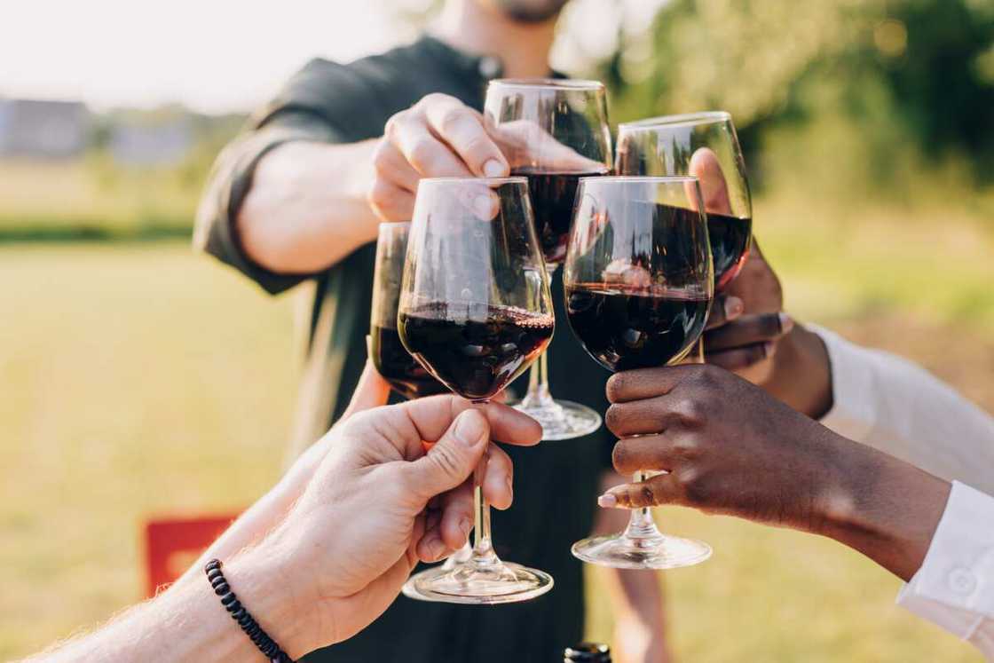 People clinking glasses in wine taste as they celebrate a birthday party in backyard People clinking glasses in wine taste as they celebrate a birthday party in backyard