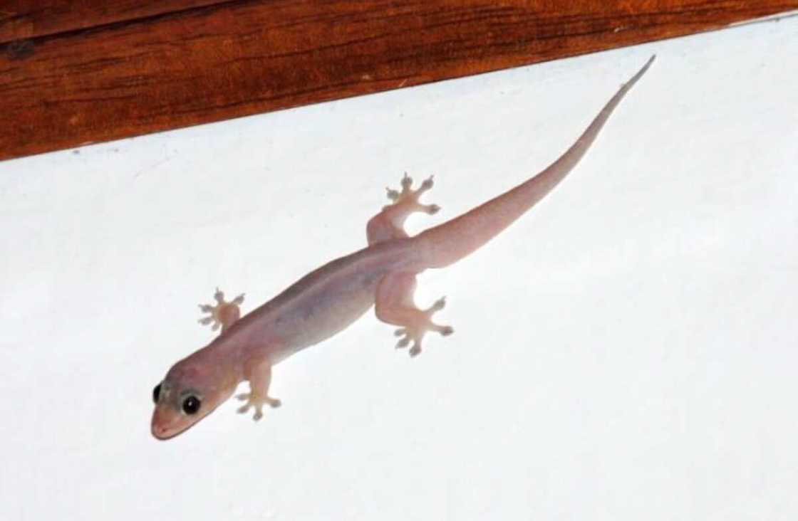 Tsaka ta kashe mutum 6 Tsaka ta kashe mutum 6