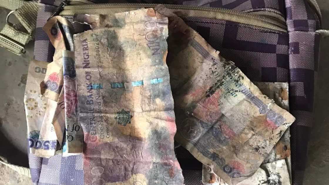 The money had gathered dust and fungi. The money had gathered dust and fungi.