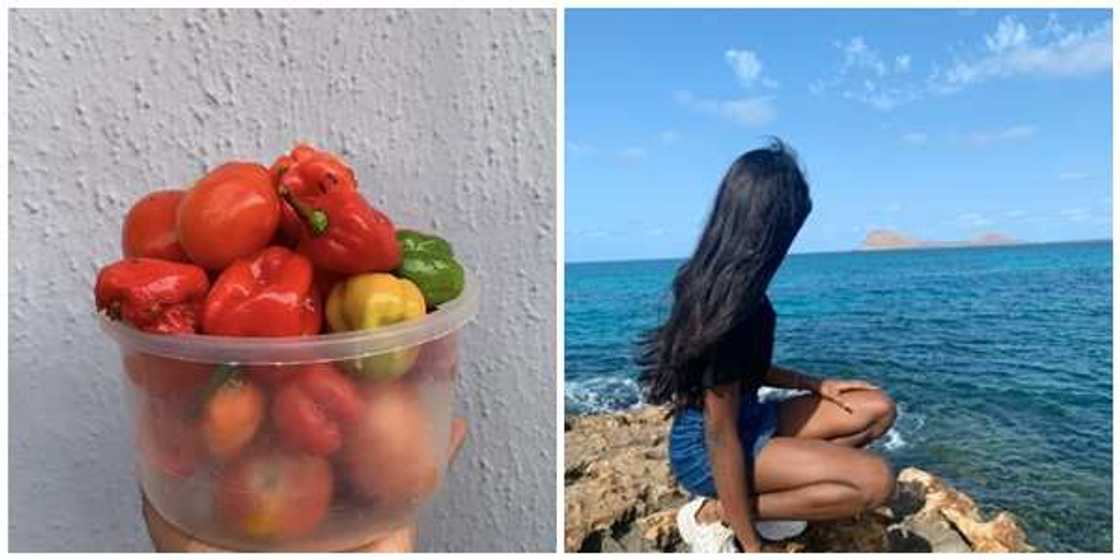 Nigerian Lady: How I Get Plenty Tomatoes & Pepper from a Trader who Loves me Hoping I will Love him Back Nigerian Lady: How I Get Plenty Tomatoes & Pepper from a Trader who Loves me Hoping I will Love him Back