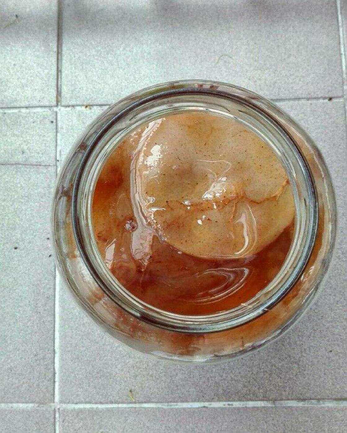 Kombucha health benefits Kombucha health benefits