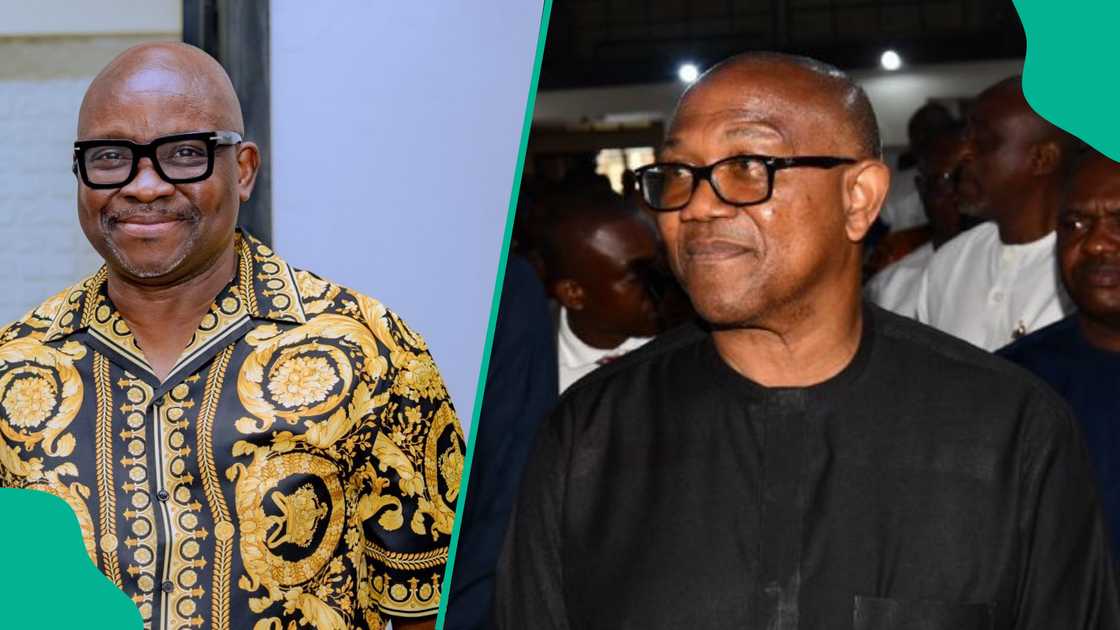 Legit.ng probes Ayodele Fayose endorsed Peter Obi for 2027 election. Legit.ng probes Ayodele Fayose endorsed Peter Obi for 2027 election.