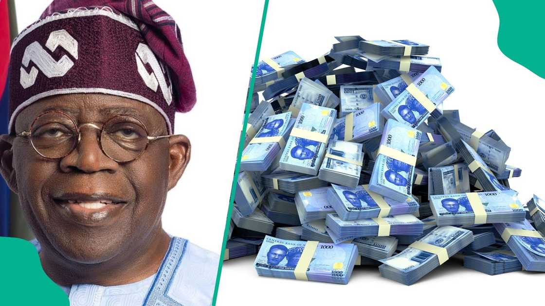 The Federal Government has announced plans to raise N900 billion from the domestic debt market through the issuance of Federal Government of Nigeria (FGN) bonds, according to the Debt Management Office (DMO).