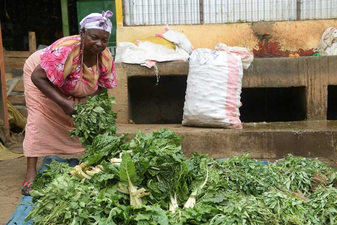 Agneta Ambane says she can't support her family on her meagre income Agneta Ambane says she can't support her family on her meagre income