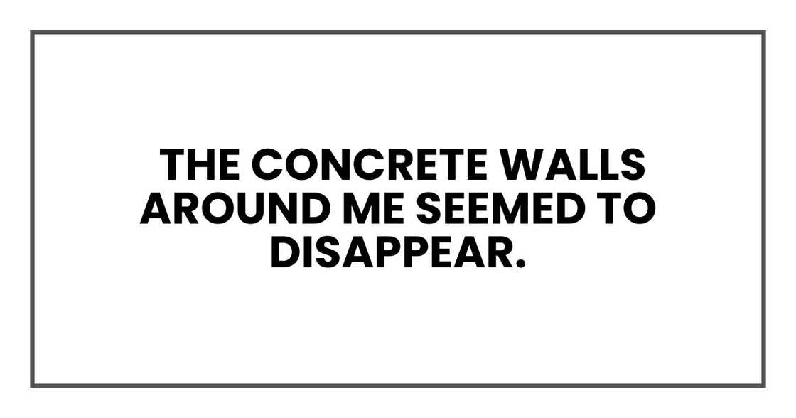 The concrete walls around me seemed to disappear.