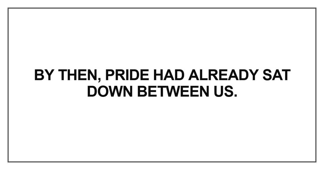 pride had already sat down between us pride had already sat down between us
