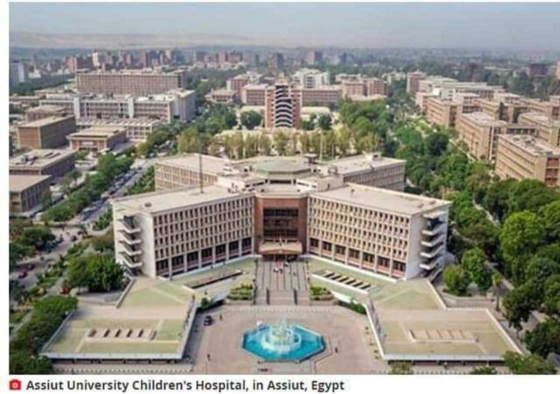 An haifi yaro da mazakuta biyu a babban asibitin yara dake kasar Masar An haifi yaro da mazakuta biyu a babban asibitin yara dake kasar Masar