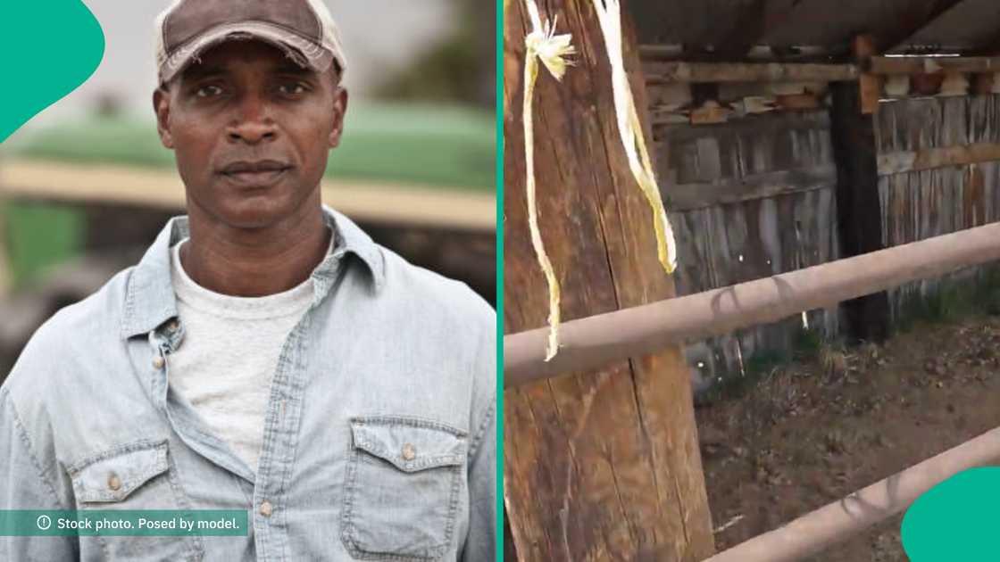 Farmer shares his discovery after planting a live trap in his farm.