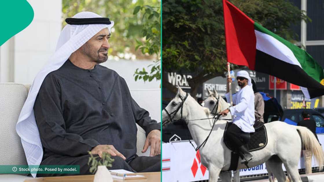 UAE shares requirements foreigners must meet before applying for a visa to visit UAE shares requirements foreigners must meet before applying for a visa to visit