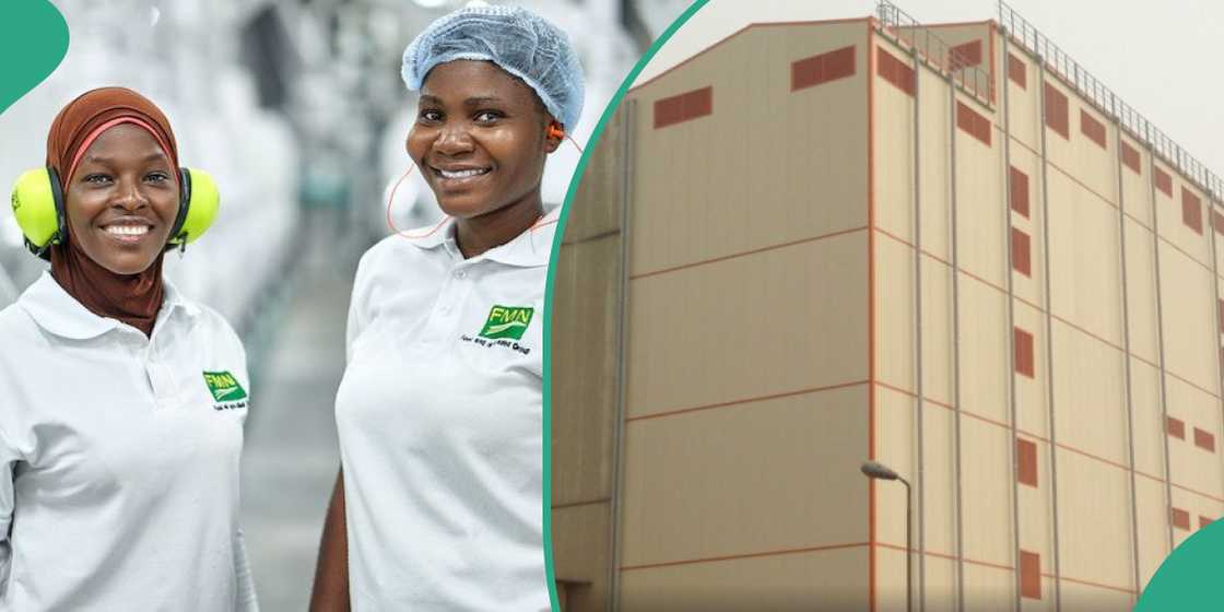 Flour Mills of Nigeria shares plan Flour Mills of Nigeria shares plan