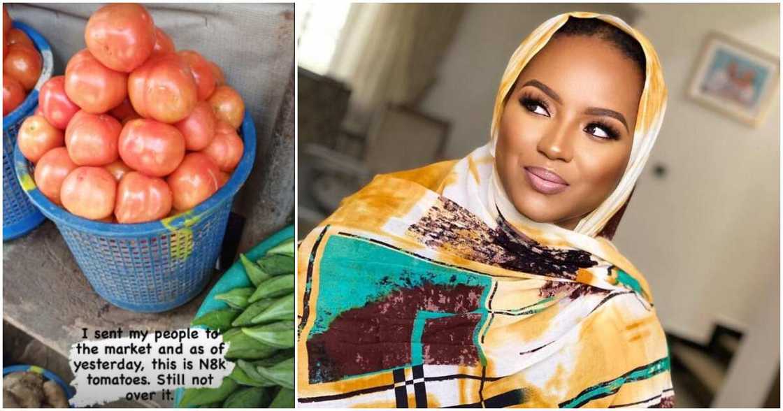 Billionaire daughter Hauwa Indimi, cost of tomatoes.