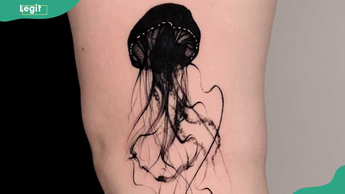 Black jellyfish design Black jellyfish design