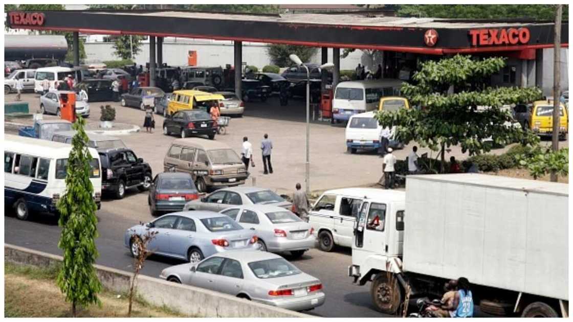 Fuel scarcity, Lagos state, President Muhammadu Buhari Fuel scarcity, Lagos state, President Muhammadu Buhari