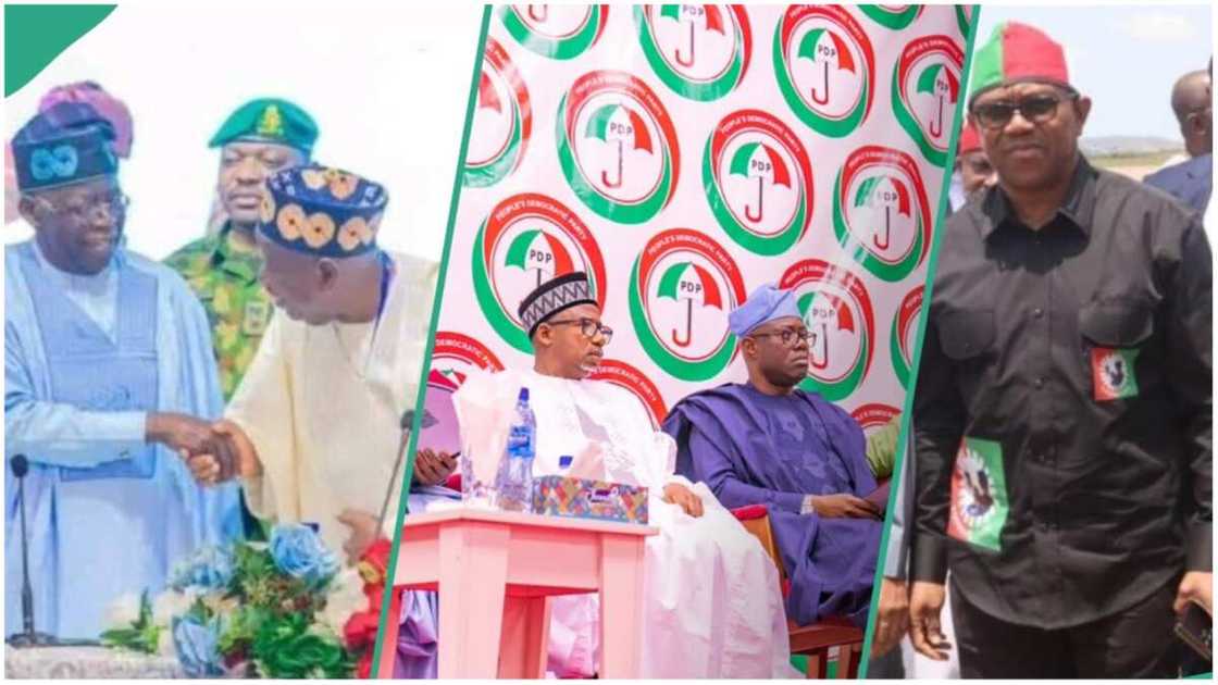 PDP/APC/NNPP/Labour Party/Tribunals/2023 Election PDP/APC/NNPP/Labour Party/Tribunals/2023 Election