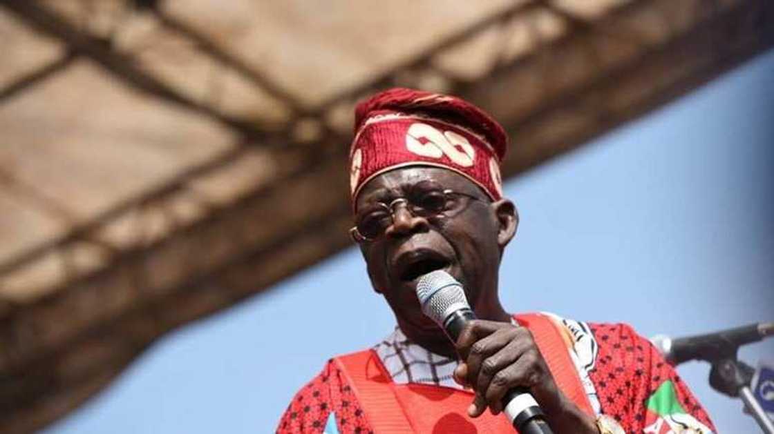 Bola Tinubu/Afenifere/2023 presidency/yemi Osinbajo/Bisi Akande/zoning